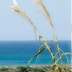 Le Gioie - Macchia Mediterranea - Splendida Vista Mare Immersa Nel Vila *