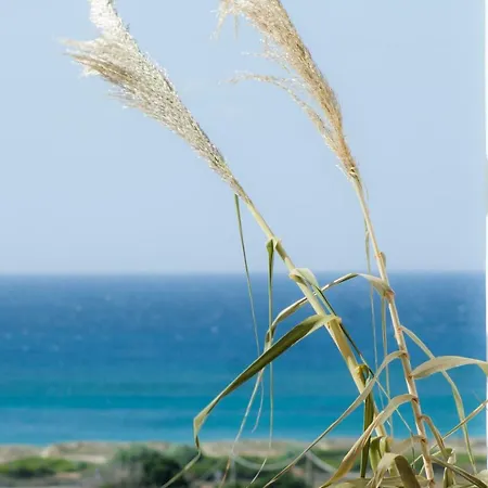 Le Gioie - Macchia Mediterranea - Splendida Vista Mare Immersa Nel Villa *